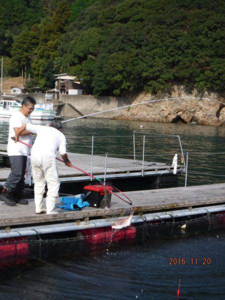 フィッシングパーク錦 釣果