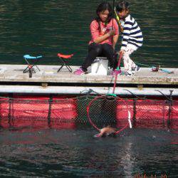 フィッシングパーク錦 釣果