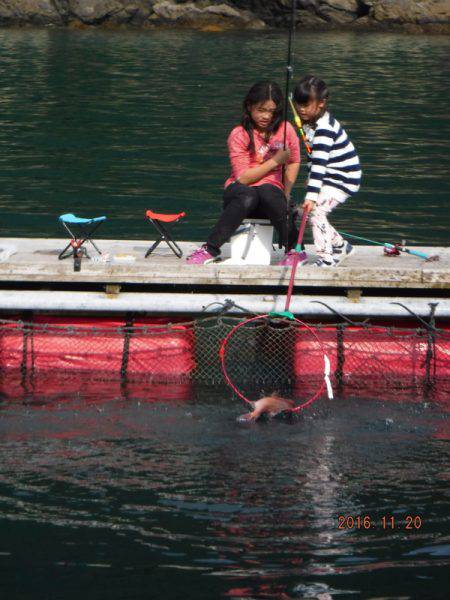 フィッシングパーク錦 釣果