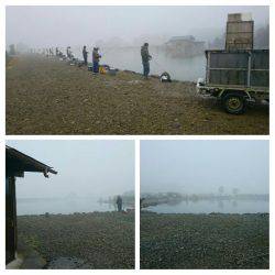 みどりフィッシングエリア 釣果