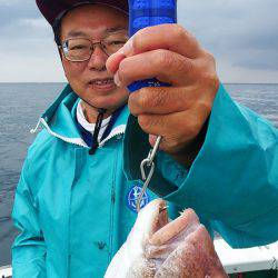 第三むつりょう丸 釣果