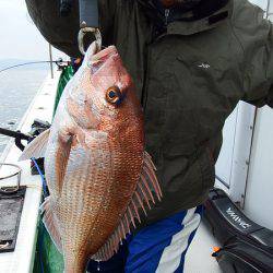 第三むつりょう丸 釣果