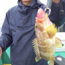 第三むつりょう丸 釣果