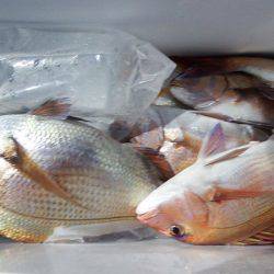 第三むつりょう丸 釣果