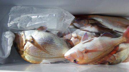 第三むつりょう丸 釣果