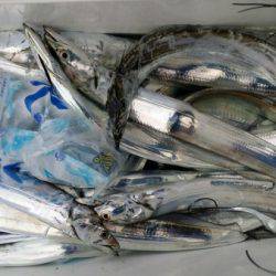 オーフリー 釣果