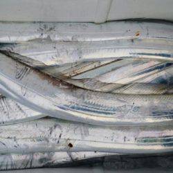 オーフリー 釣果