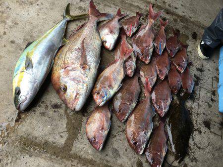 長栄丸(千葉) 釣果