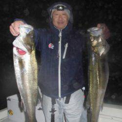 ルアー船マヒマヒ 釣果