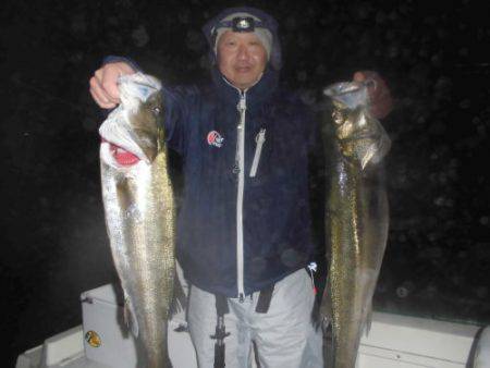 ルアー船マヒマヒ 釣果