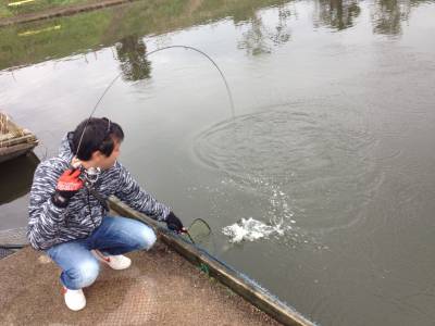 吉羽園 釣果