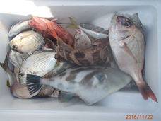 七福丸 釣果