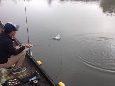 吉羽園 釣果