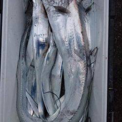 オーフリー 釣果