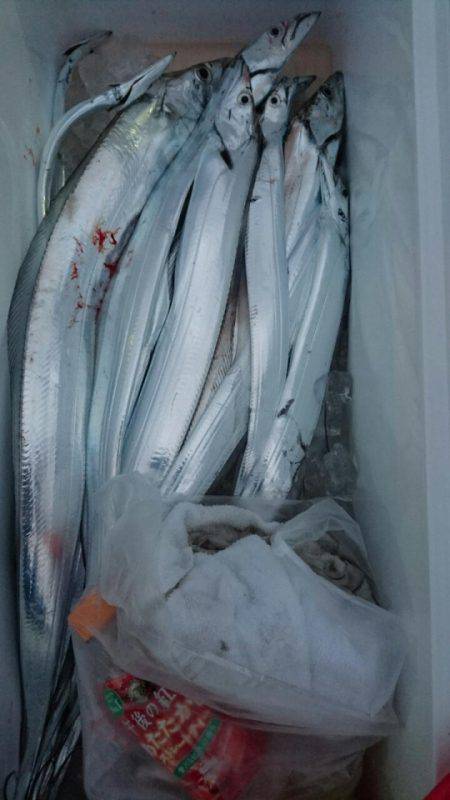 オーフリー 釣果