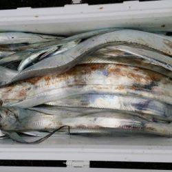 オーフリー 釣果