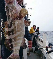 海龍丸(福岡) 釣果