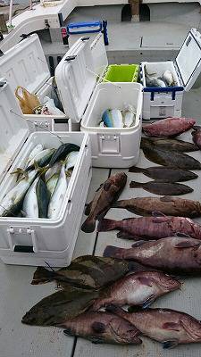 海龍丸(福岡) 釣果