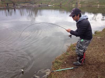 吉羽園 釣果