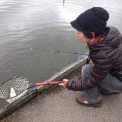 吉羽園 釣果
