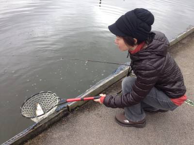 吉羽園 釣果