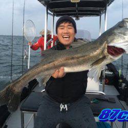 オーシャンマスター 釣果