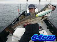 オーシャンマスター 釣果