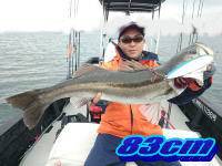 オーシャンマスター 釣果