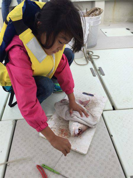 マタウマリンサービス 釣果