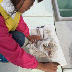 マタウマリンサービス 釣果