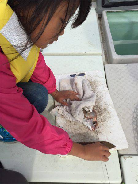 マタウマリンサービス 釣果