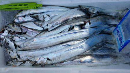 オーフリー 釣果