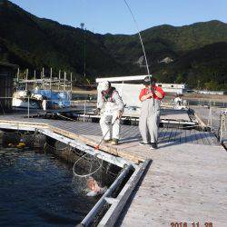 松名瀬フィッシングパーク 釣果