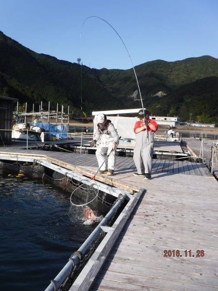 松名瀬フィッシングパーク 釣果