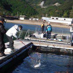 フィッシングパーク錦 釣果