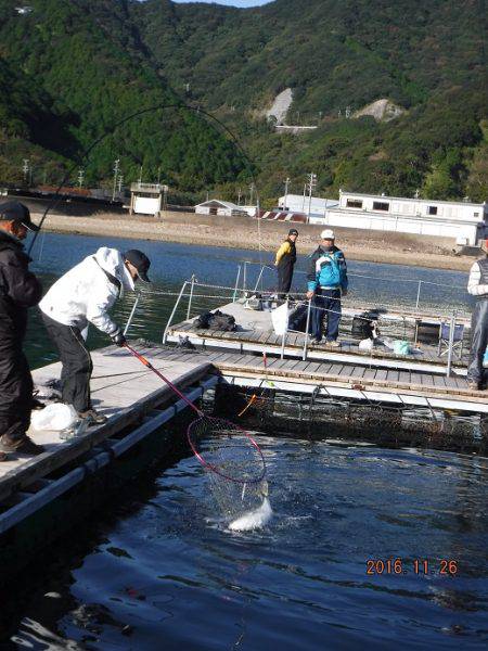 フィッシングパーク錦 釣果