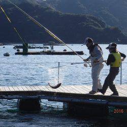 フィッシングパーク錦 釣果