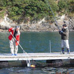 松名瀬フィッシングパーク 釣果