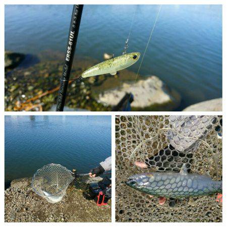 みどりフィッシングエリア 釣果