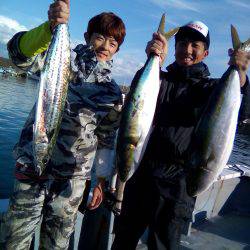 ファイヤードルフィン 釣果