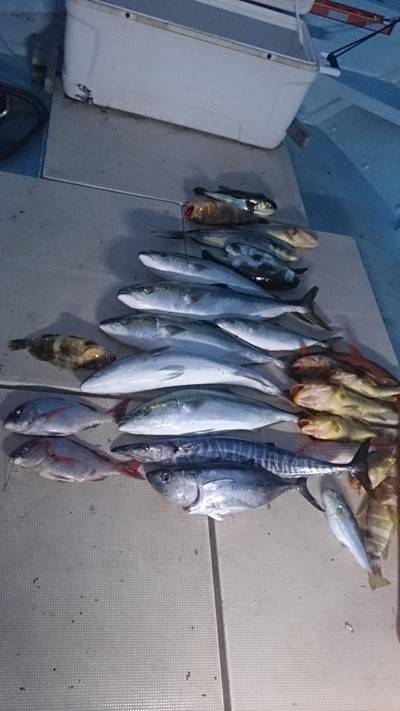 旭星釣りセンター 釣果