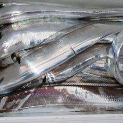 松本釣船2 釣果