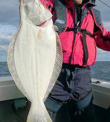 海龍丸(福岡) 釣果