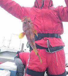 海龍丸(福岡) 釣果