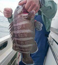 海龍丸(福岡) 釣果