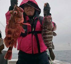 海龍丸(福岡) 釣果