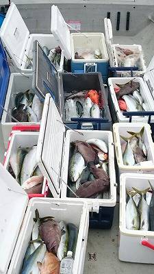 海龍丸(福岡) 釣果