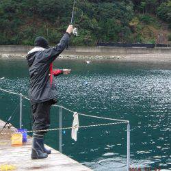 フィッシングパーク錦 釣果