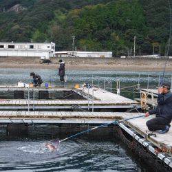 松名瀬フィッシングパーク 釣果