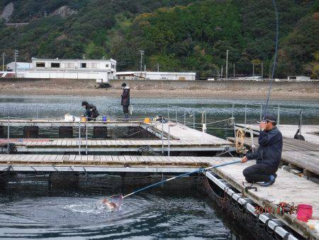 フィッシングパーク錦 釣果